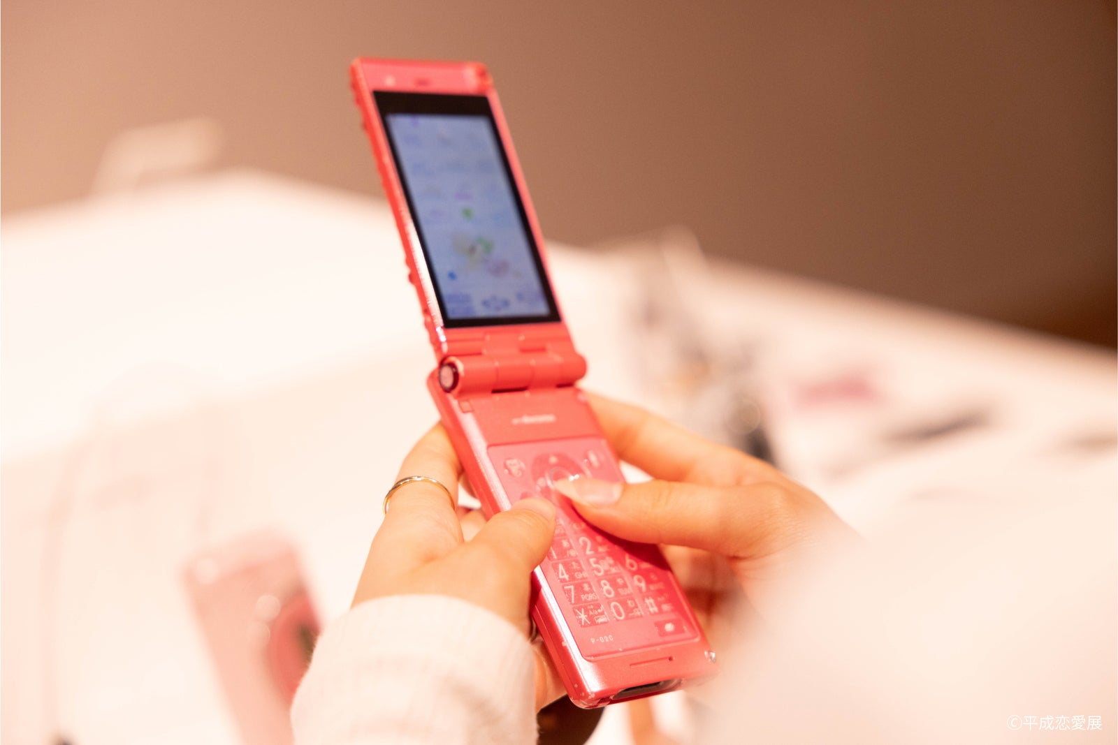 （C）平成恋愛展