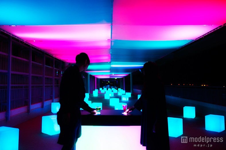 10月に登場したインタラクティブオーシャンバー／画像提供：新江ノ島水族館