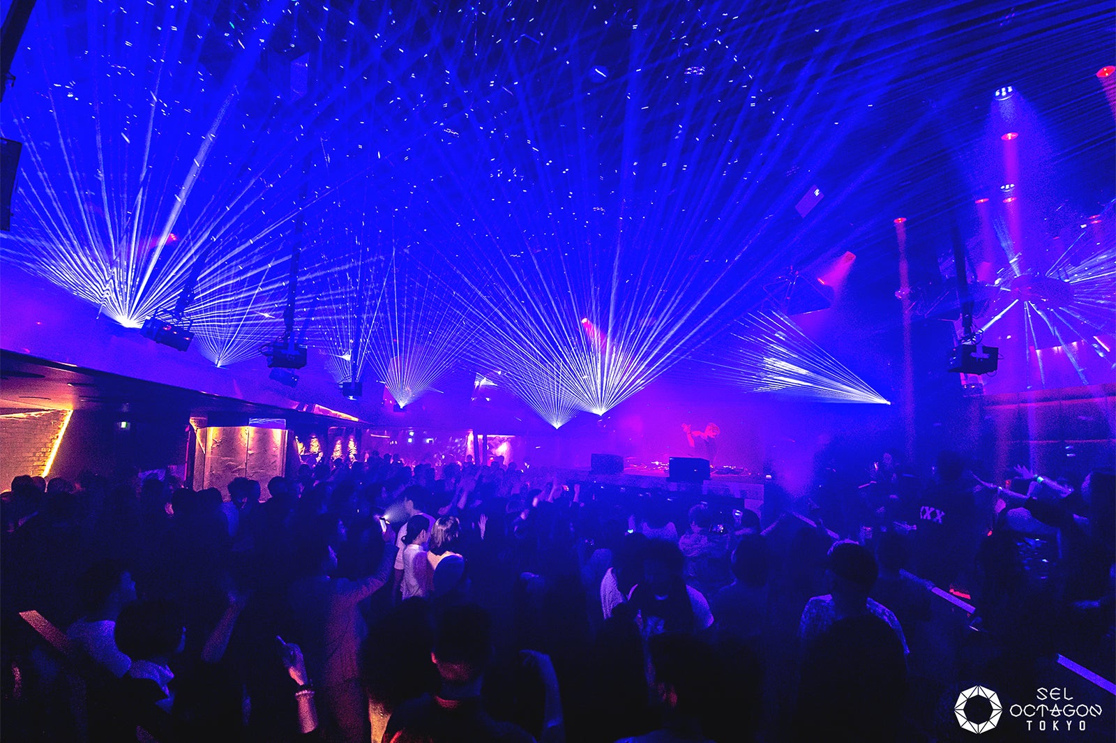 「SEL OCTAGON TOKYO」（画像提供：avex）