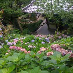 長谷寺/IMG_0002 by Takuya Oikawa