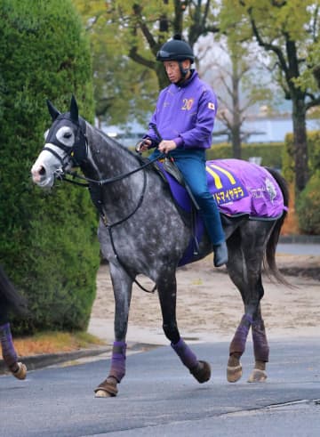 【有馬記念】アドマイヤテラ 舞台絶好！大江助手「中山の方が特性を生かせる」 ジャパンCで落馬「精神的疲れやダメージない」