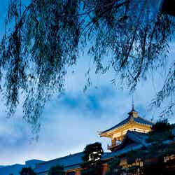 日中の「東海館」も素敵ですが、優しい灯りがともる夜間の雰囲気はまるでファンタジー映画のワンシーン(提供画像)