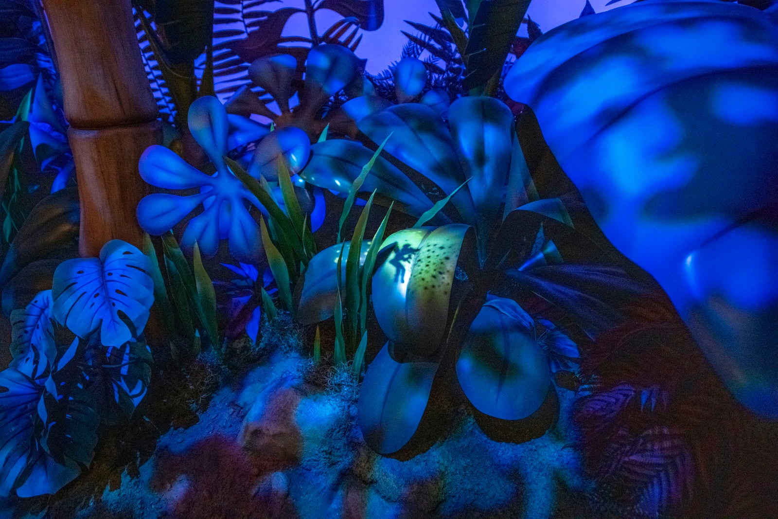 ピーターパンのネバーランドアドベンチャー（C）Disney