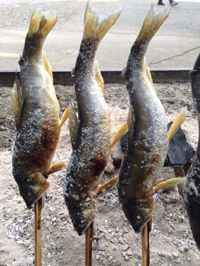 魚ジャパンフェス（提供画像）