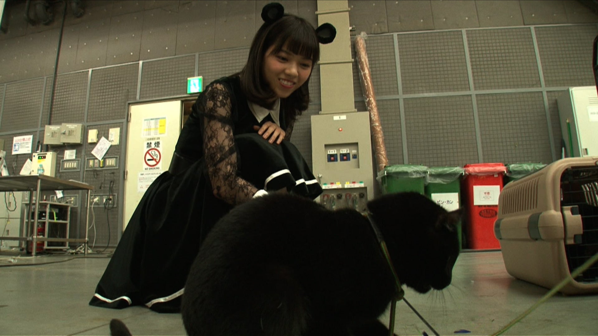 乃木坂46西野七瀬