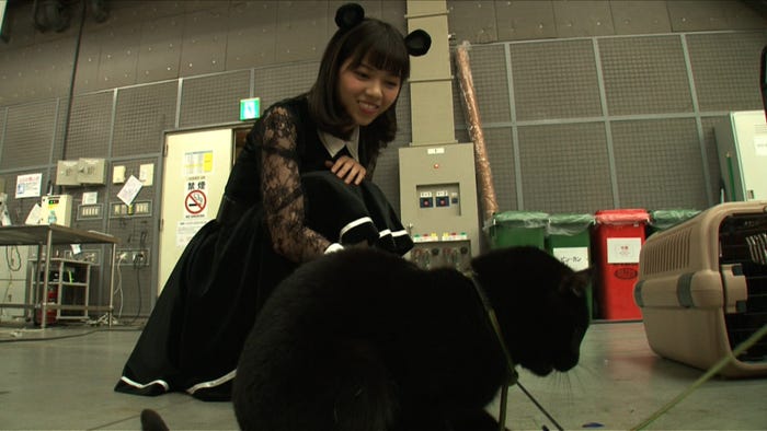 乃木坂46西野七瀬