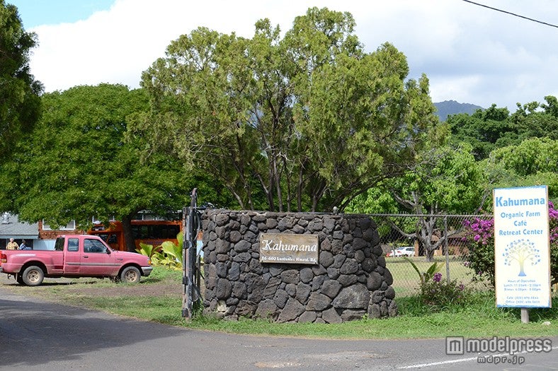 ホテルから約30分で到着