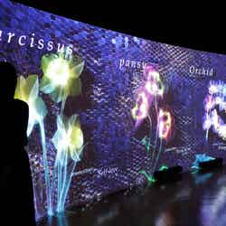 02:MOSAIC FLOWERS(モザイク フラワーズ)/画像提供:ネイキッド