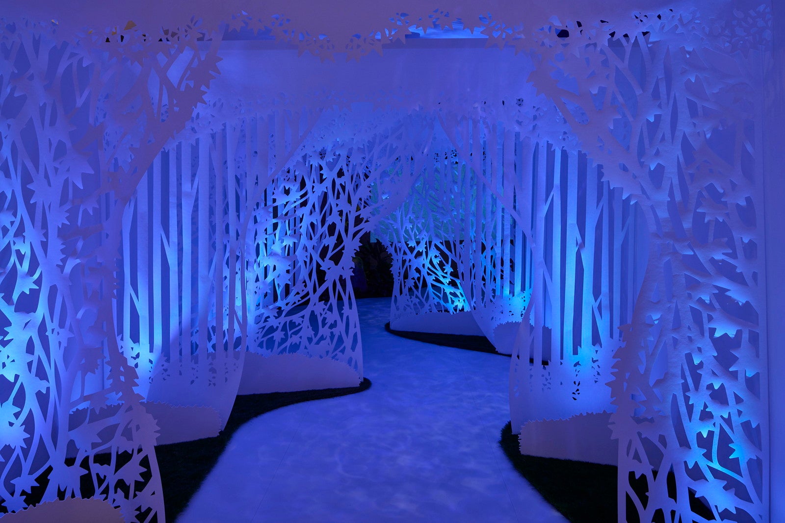 ファンタジースプリングス ニューチャプター・ビギンズ展（C）Disney