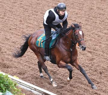 【新馬戦】テンソンコウリン好感触 アルアイン産駒の素質馬「マイルくらいが良さそうです」