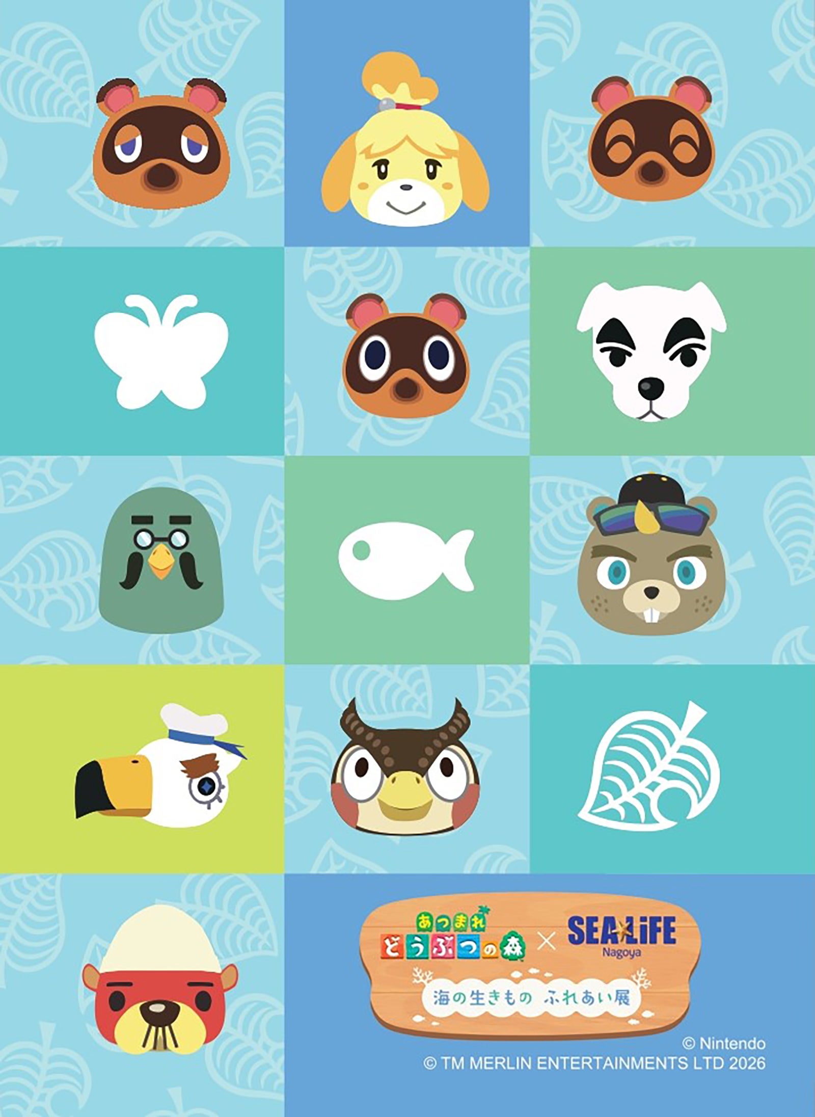 生きものさがしカード（提供写真）