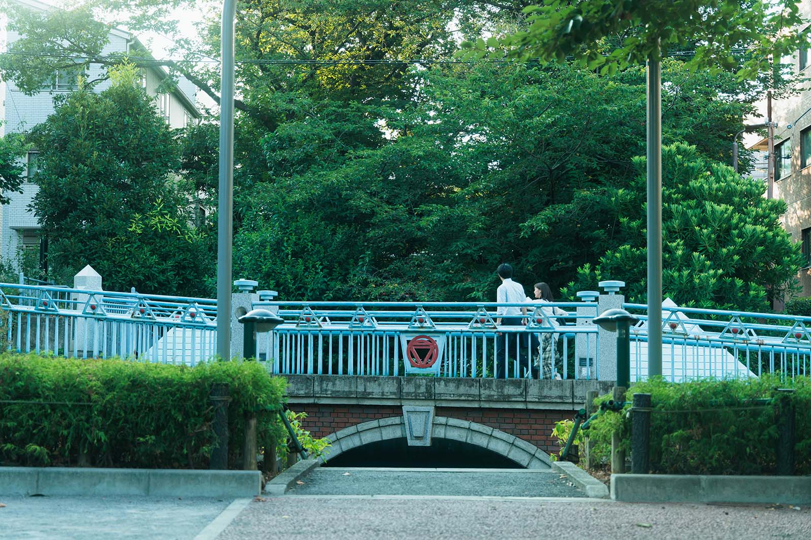 赤楚衛二、生田絵梨花「こっち向いてよ向井くん」第6話より（C）日本テレビ