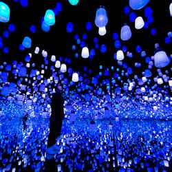 呼応するランプの森 - ワンストローク、氷洞(アイスケイブ) /画像提供:チームラボ