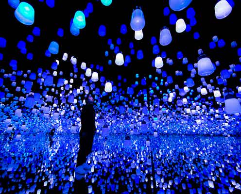 お台場「チームラボ ボーダレス」アート作品群が冬仕様に “ランプの森”は氷洞&炎を表現