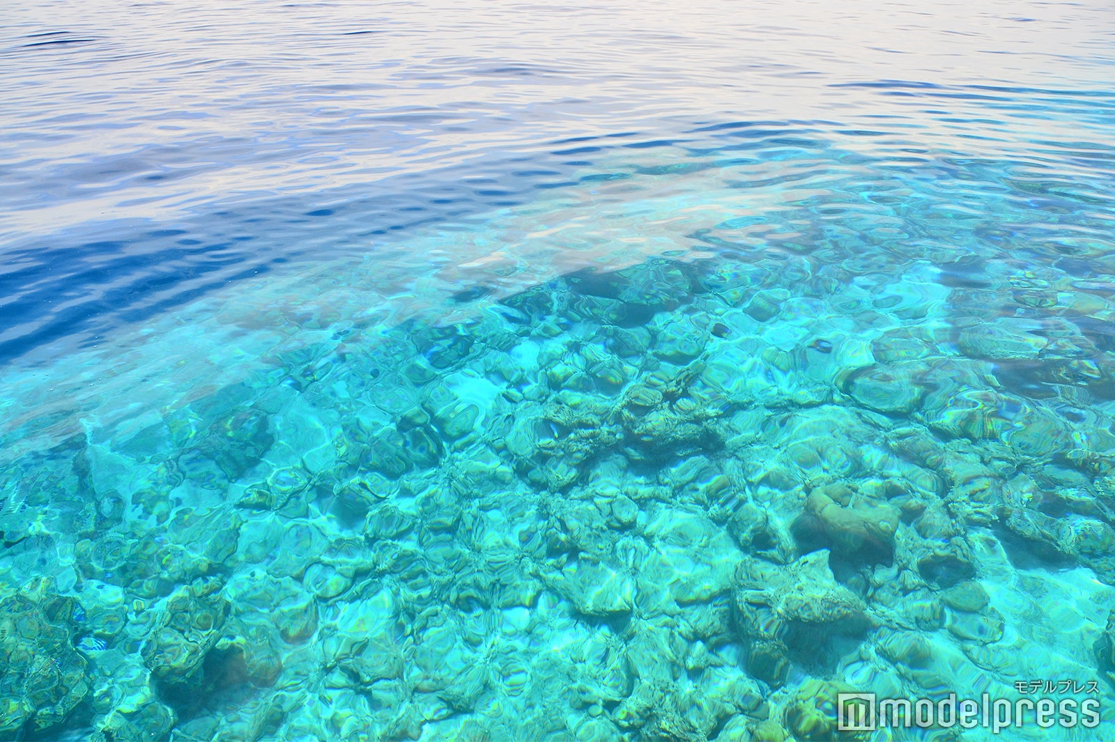 ロブスターピクニック前のシュノーケリング体験（C）モデルプレス