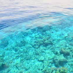 ロブスターピクニック前のシュノーケリング体験(C)モデルプレス