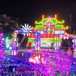 伊豆高原グランイルミ※前シーズンの様子/提供画像