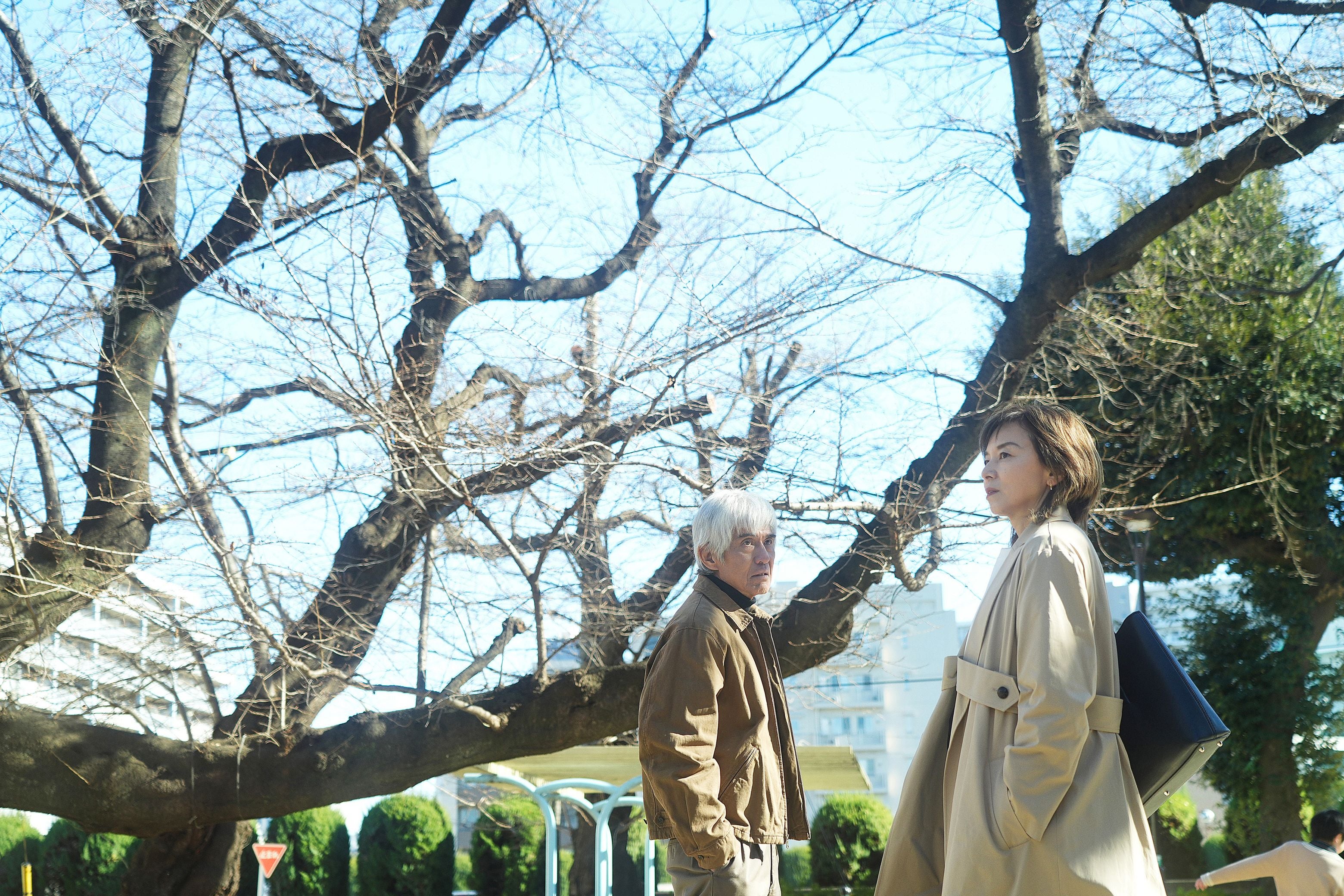 横浜流星さんの記事(W主演映画「春に散る」完成披露試写会 関連)掲載新聞5紙 通販 春に散る 試写会