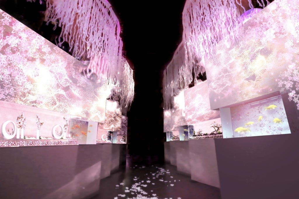 零れ桜／画像提供：株式会社 横浜八景島