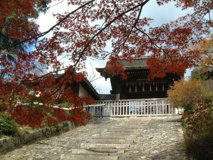 毘沙門堂の紅葉（2011年11月26日撮影）