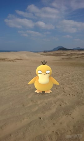 Pokemon GO（提供画像）