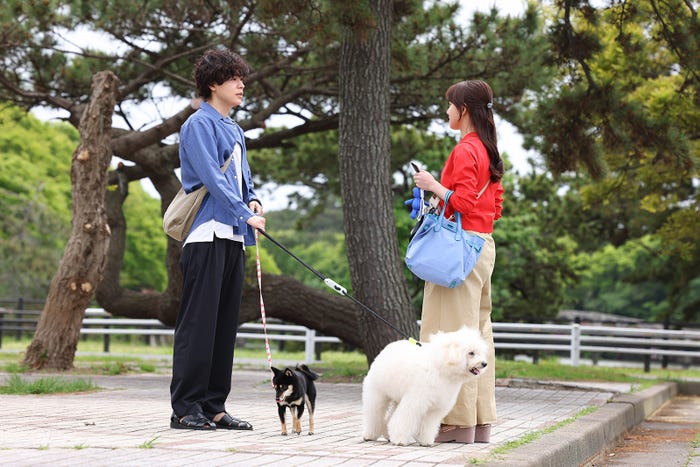 成田凌、清原果耶「初恋DOGs」(C)TBS