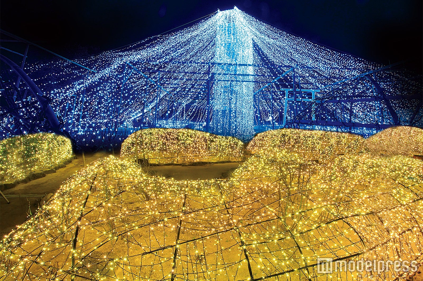 ジュエルイルミネーション／画像提供：日本庭園 由志園