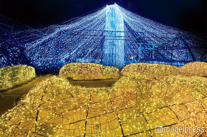 7色ライトアップに70万球ジュエルイルミ 見所満載 由志園 のイルミネーションが凄い 女子旅プレス