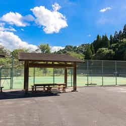 ほけだけグランピング~和泉の毬花~/提供画像