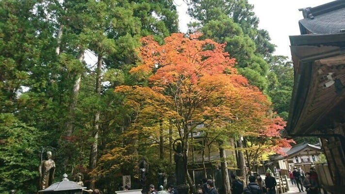 御廟の橋近くの水向地蔵と紅葉・黄葉(2021年11月6日撮影)