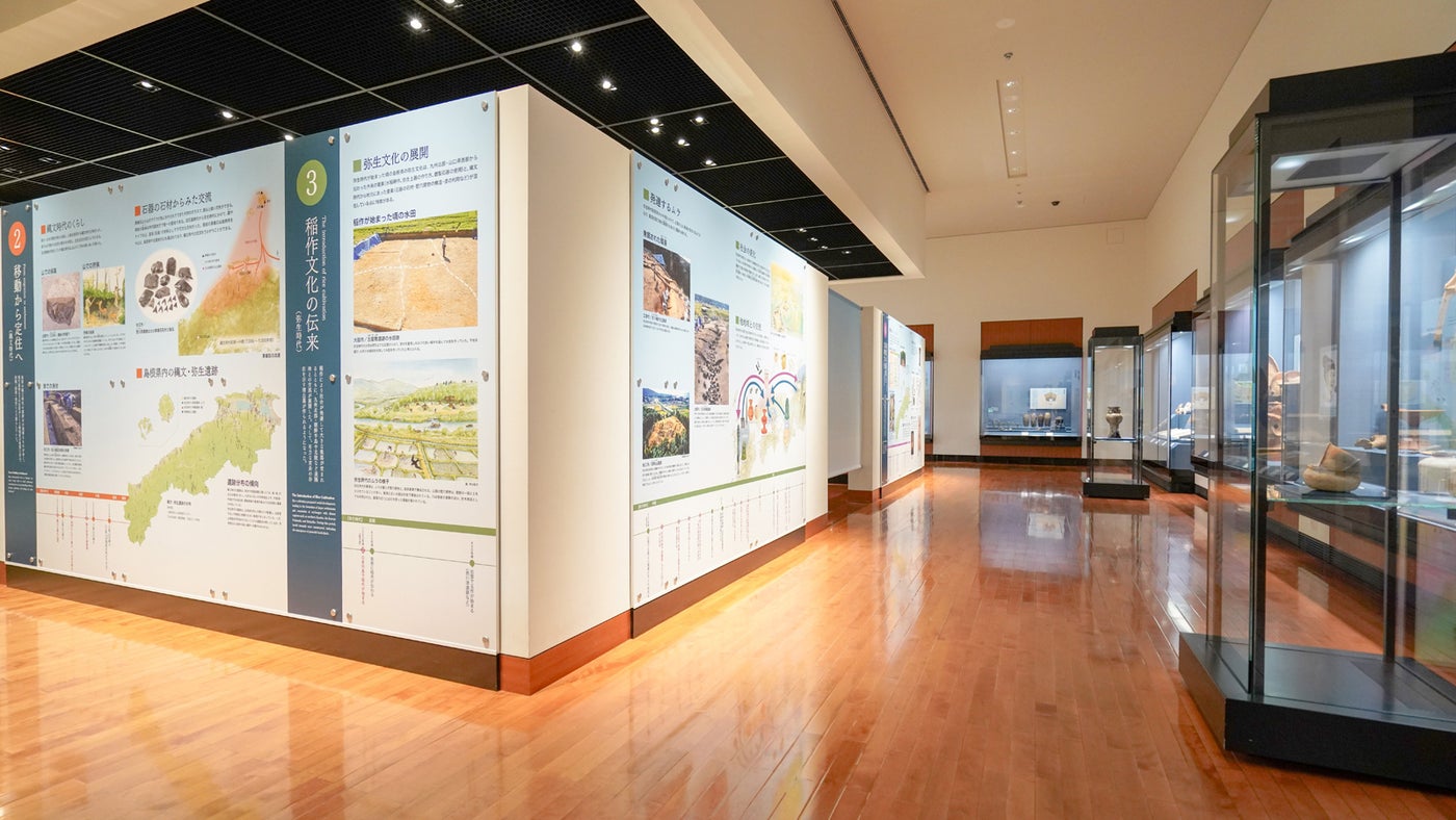 グラフィック解説パネルや展示内容を一新(提供画像)