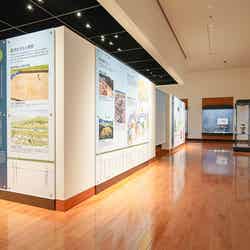 グラフィック解説パネルや展示内容を一新(提供画像)