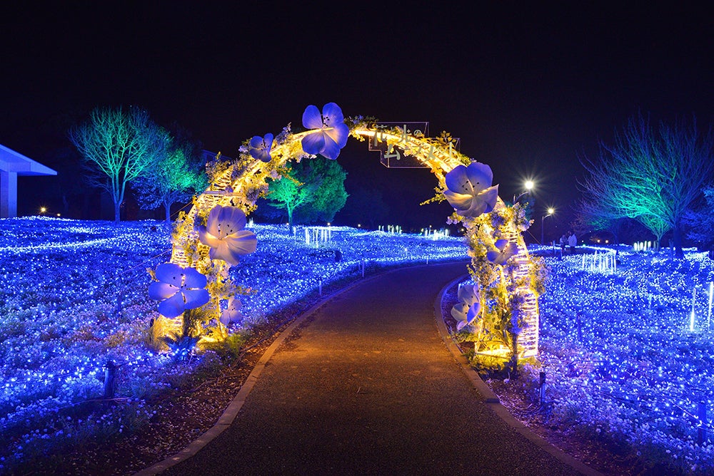 花と光のムーブメント／提供画像