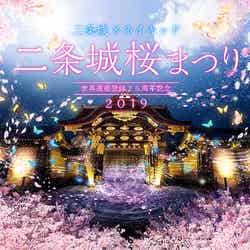 二条城×ネイキッド 世界遺産登録25周年記念 二条城桜まつり2019/画像提供:ネイキッド