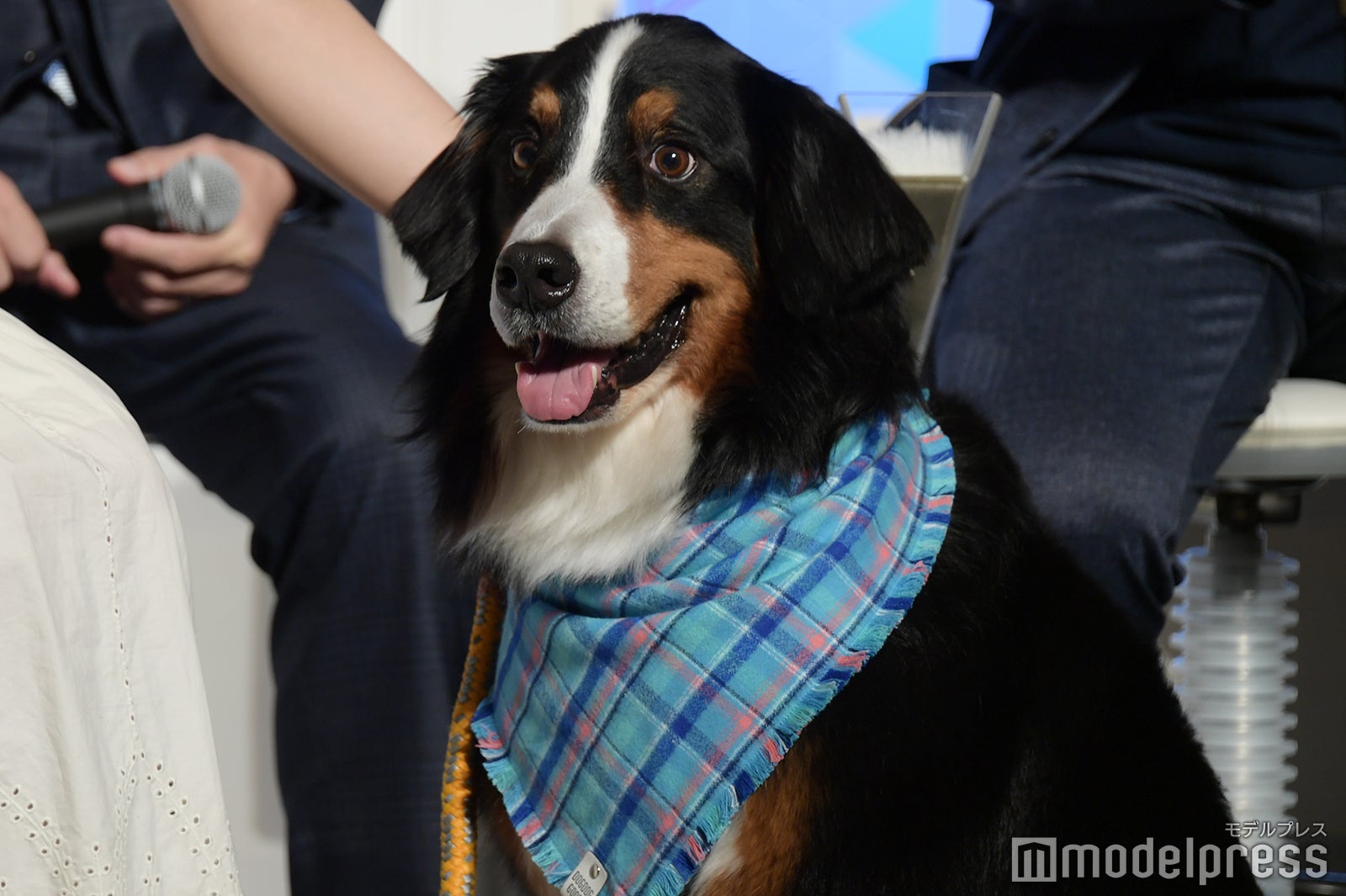 「リベンジ・スパイ」に登場するジャック（ボナ）（C）モデルプレス