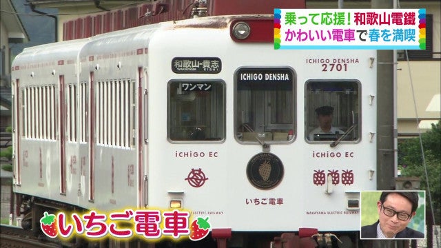 いちご、うめぼし…？バリエーションが豊か過ぎるローカル電車【和歌山・貴志川線編】