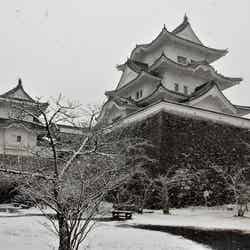 雪の伊賀上野城／提供画像