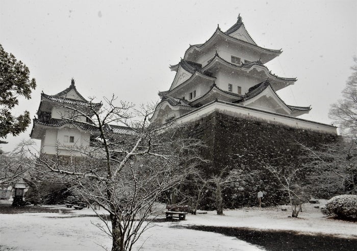 雪の伊賀上野城／提供画像