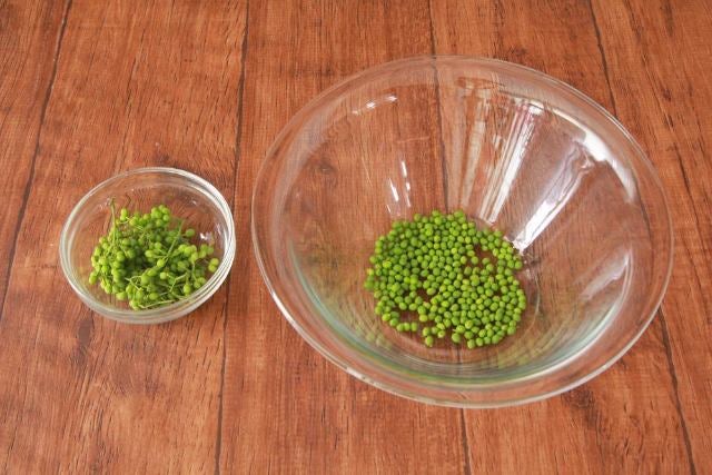 column_55fae34a1cc59b14ff5f1c4f0a889cc2.