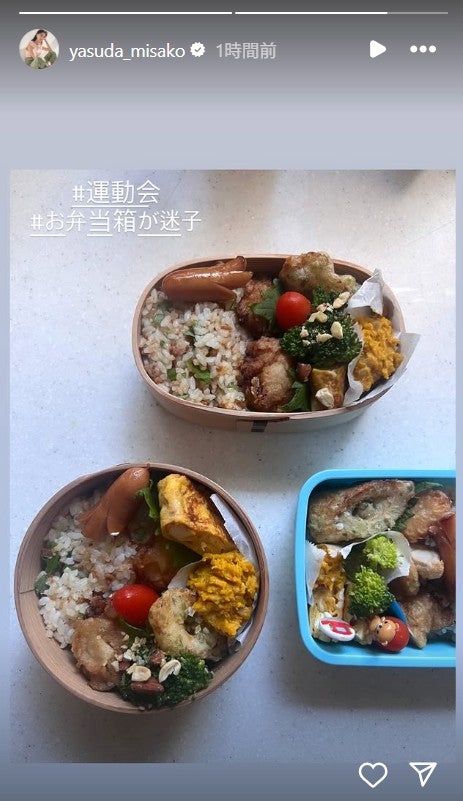 安田美沙子Instagramストーリーズより