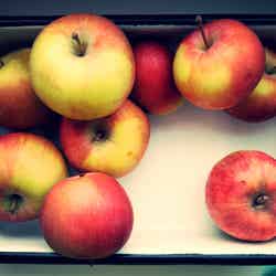 りんご1個で簡単！ダイエット中のお手軽デザートレシピ5つ／DSCF0422 apples by Alexander Lyubavin 
