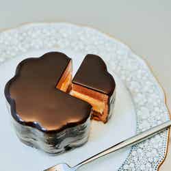 生フロルケーキ/提供画像