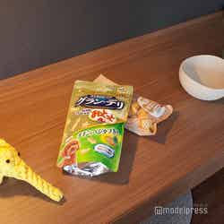 犬用グッズ/シタディーンハーバーフロント横浜(C)モデルプレス