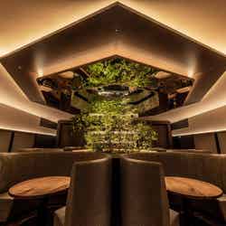 ENOWA YUFUIN/提供画像