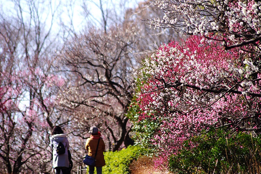 府中市郷土の森博物館
