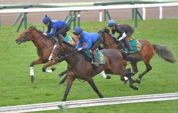 【新馬戦】良血馬アルデシンザン 北の大地でベールを脱ぐ 佐々木ほれ込む「走ると思う」