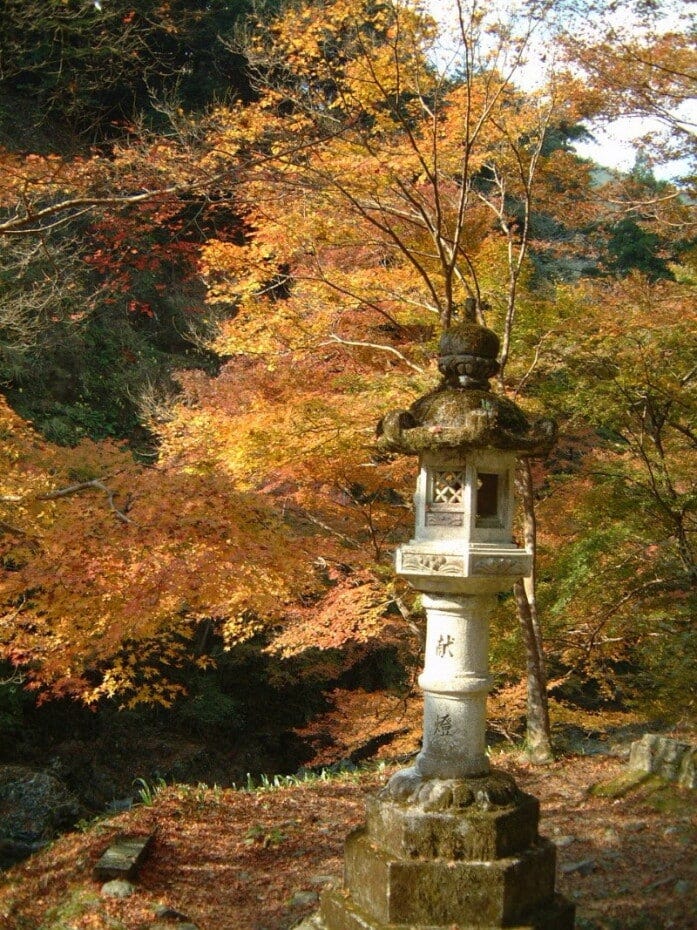 西明寺の表参道にある灯籠と紅葉・黄葉（2004年11月21日撮影）