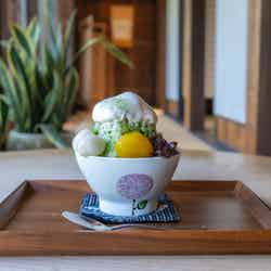 牧之原杉田さんちの抹茶の茶氷880円/提供画像