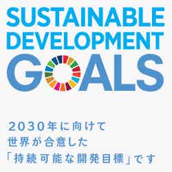 SDGs（提供画像）