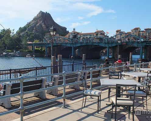 ディズニーシー、大人ならではの楽しみ方